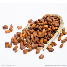 low price pine nut kernels